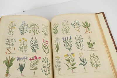 Lot 96 - Culpeper's Complete Herbal, Embellished with...