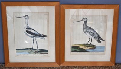 Lot 517 - Two 19th century hand coloured ornithological...
