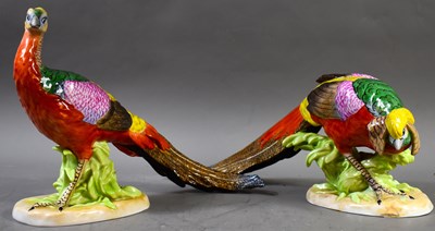 Lot 323 - A pair of Dresden porcelain pheasant figurines,...