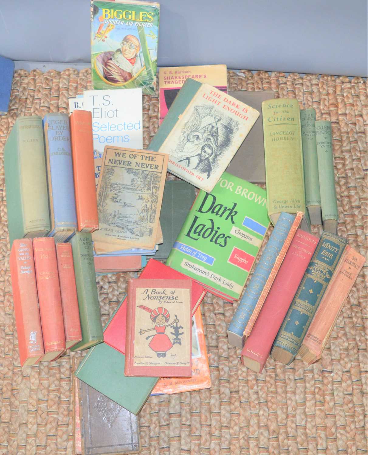 Lot 234 - A large quantity of collectable books to
